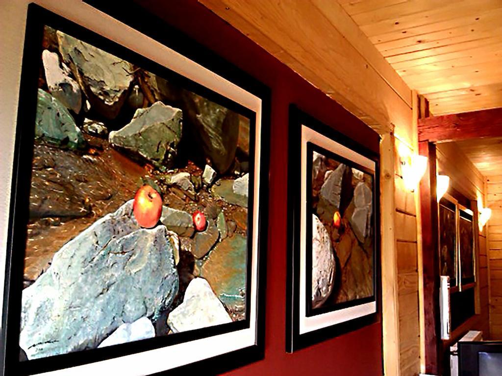 Art Apartments Minic Kolašin Екстериор снимка