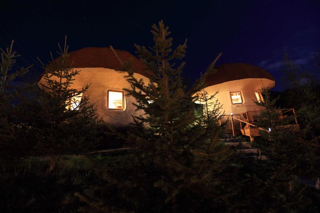 Art Apartments Minic Kolašin Стая снимка